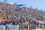 Болельщики "Крыльев Советов"